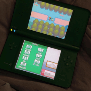 got-my-first-dsi-ever-v0-qji5wufxy6re1