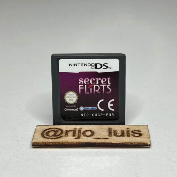 Secret Flirts Nintendo DS